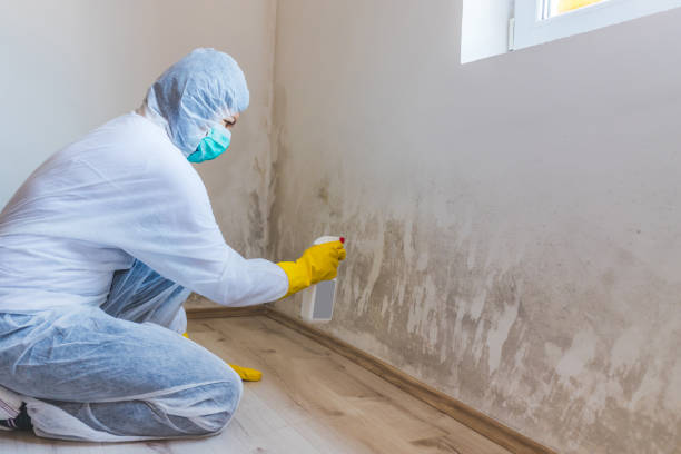 Commercial Mold Remediation assessment for commercial property in Jupiter